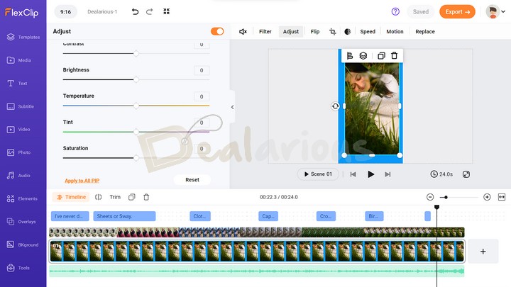 Make Video Adjustments with FlexClip