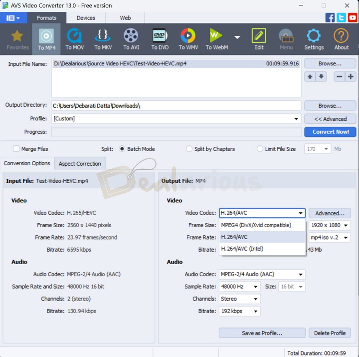 HEVC Conversion in AVS Video Converter