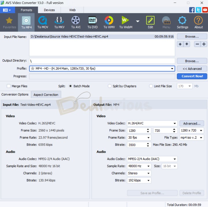 AVS Video Converter Program Interface