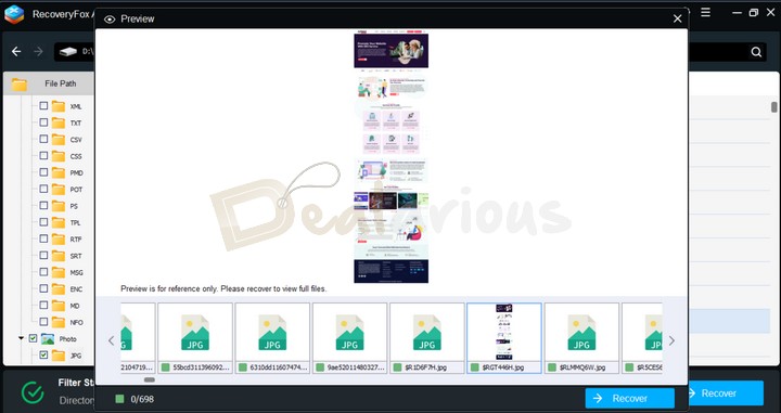 Preview of Recovered Files