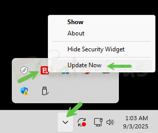 Bitdefender system tray menu showing Update Now option to manually update virus definitions.